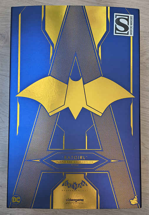 BATGIRL (Purple and Gold Version) Exclusive 1/6 Scale figure VGM65 - BATMAN : ARKHAM KNIGHT - HOT TOYS – Image 12