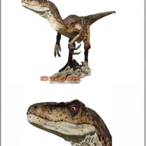 Raptor Deinonychus Velociraptor Version 2 Life Size 1/1 Statue - Jurassic Park – OXMOX Muckle Mannequins